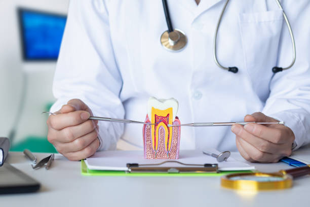 Best Pediatric Emergency Dentist in Eaton, CO